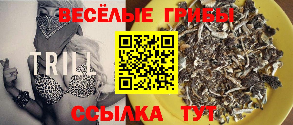Псилоцибиновые грибы Psilocybine cubensis Комсомольск-на-Амуре