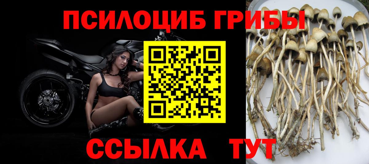 хочу наркоту  Псилоцибиновые грибы MAGIC MUSHROOMS  Вход с VPN  Комсомольск-на-Амуре 
